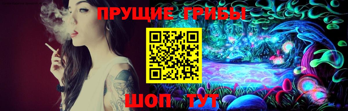 Галлюциногенные грибы Magic Shrooms  Вход с VPN  купить наркотики цена  Северск  Псилоцибиновые грибы GOLDEN TEACHER 