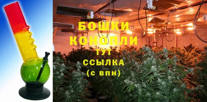 Шишки марихуана THC 21%  купить   Северск 